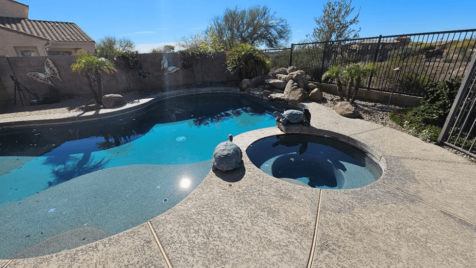 Before-and-after-pool-conversion-7a