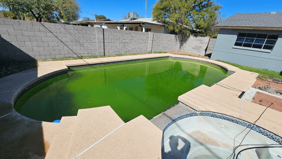 Before-and-after-pool-conversion-9a